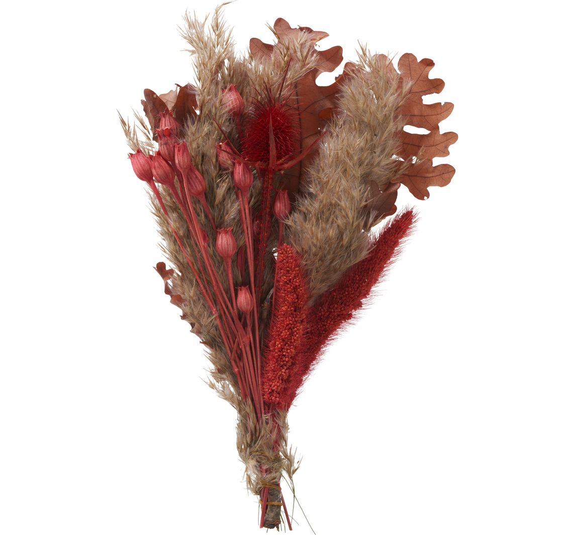 Trockenblumen Set Red