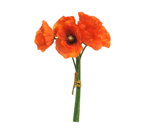 Klatschmohn Bund
