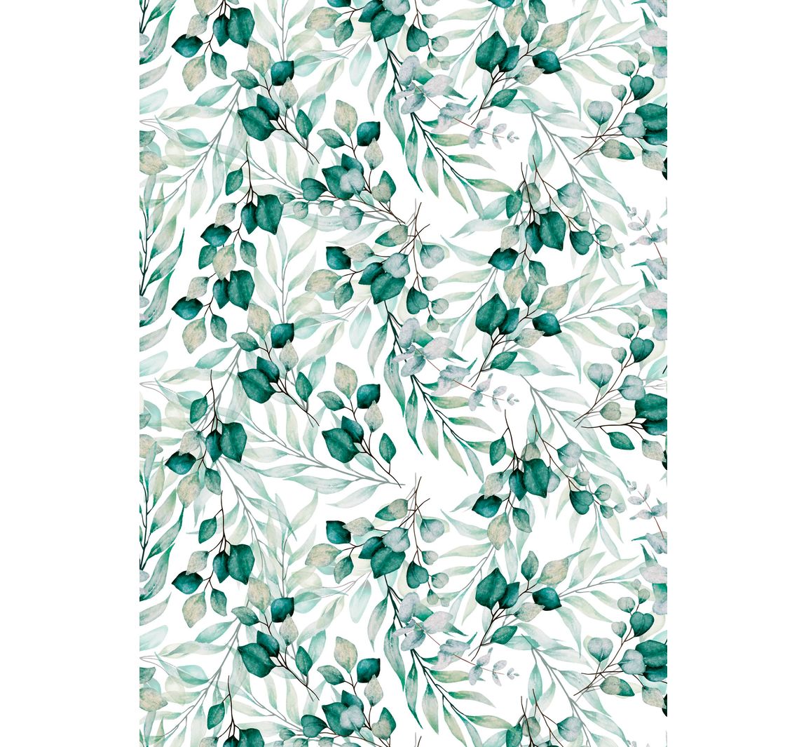 Transparentpapier "Eukalyptus"