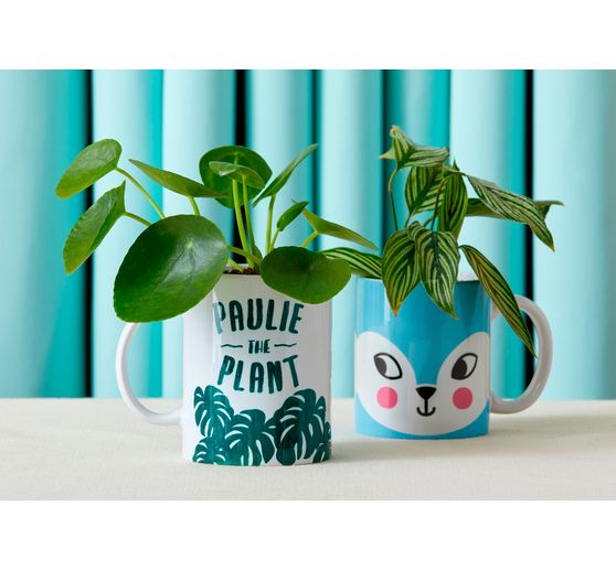 Cricut Mug Press