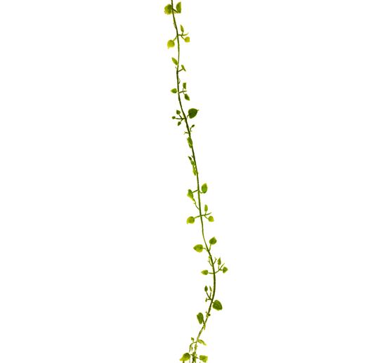 Blättergirlande "Pinula"