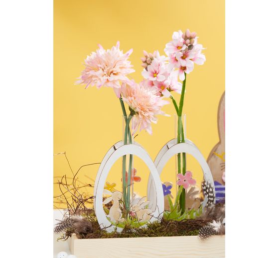 Scabiosa Einzelstiel