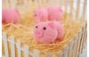 VBS Chenille-Schwein