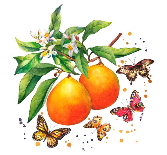 Serviette "Schmetterlinge & Orangen"