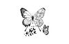 Sizzix Framelits Stanzschablone und Clear Stamps "Butterfly"