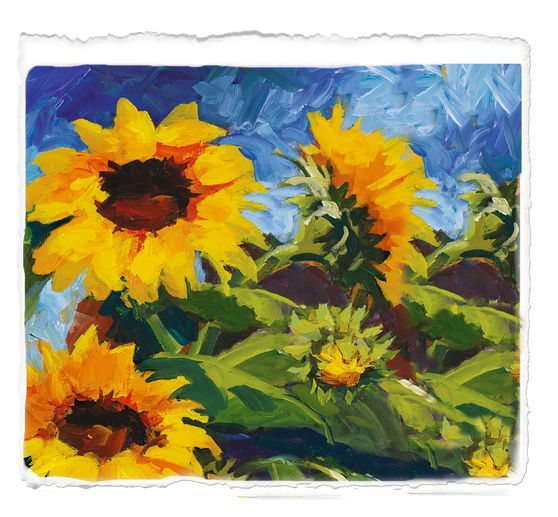 STAEDTLER Acrylfarben