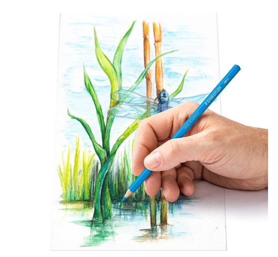 STAEDTLER Watercolour "Buntstifte", 48-tlg.