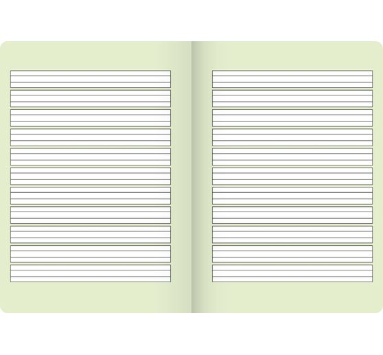 Brunnen Exercise book Vivendi "Lineatur 1", DIN A4, from 1st grade