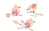 Sizzix Thinlits Stanzschablone "Painted Birds"