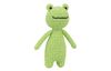 Crochet set "Frog Trevor"