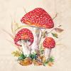 Napkins "Red toadstools"