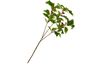 Ilex branch with berries, 40 cm