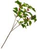 Ilex branch with berries, 40 cm