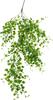 VBS Hanger "Leaves"