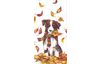 Papiertaschentücher "Hund im Herbstlaub"