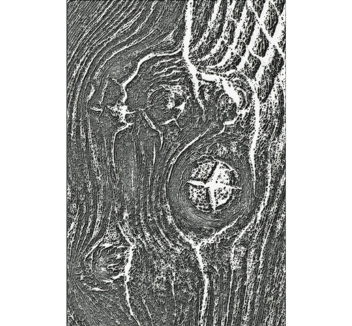 Sizzix 3D-Prägeschablone "Woodgrain by Tim Holtz"