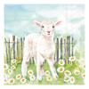 Serviette "Lämmchen auf der Wiese"