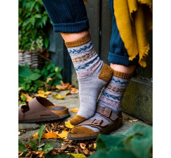 Buch "Der Socken-Kompass"