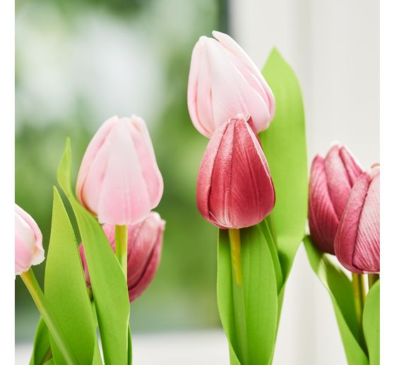 VBS Tulpe "Tammie"