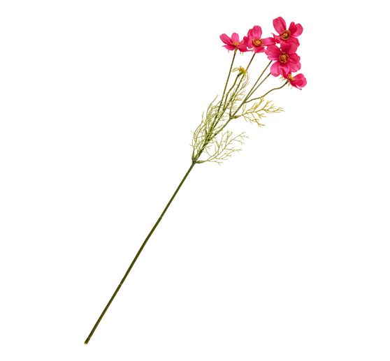 Cosmea Zweig mit 5 Blüten