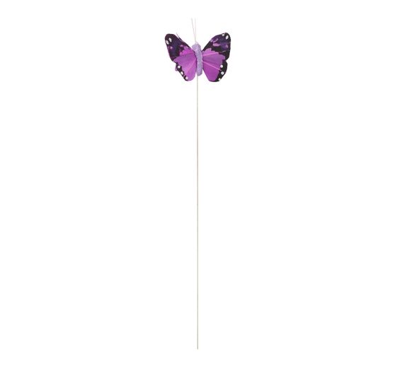 Schmetterling "Brasil"