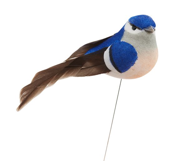 Vogel "Berta"