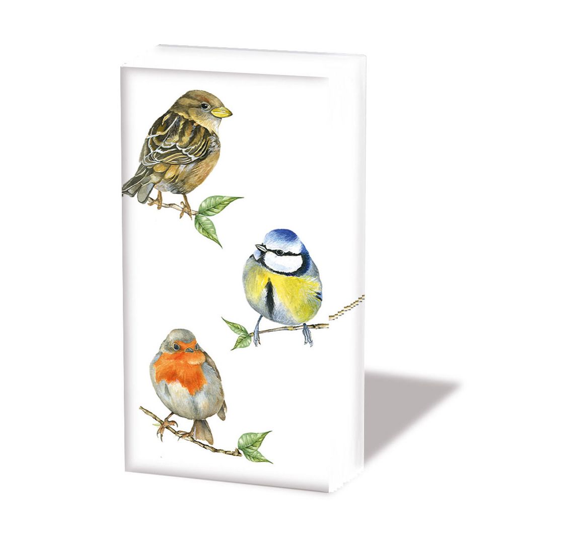 Papiertaschentücher "Birds"
