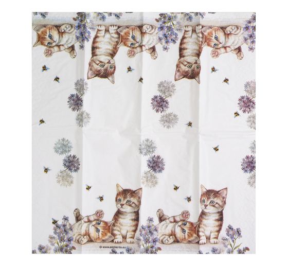 Papiertaschentücher "Katzen und Bienen"