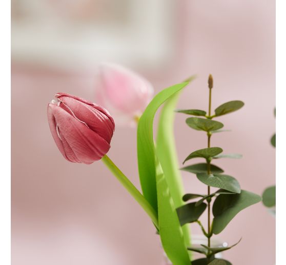 VBS Tulpe "Tammie"