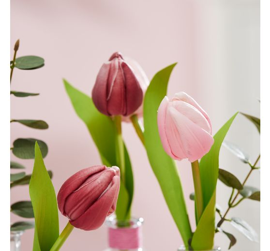 VBS Tulpe "Tammie"