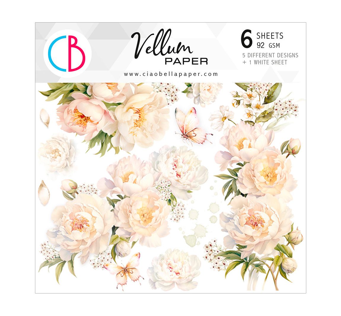 Vellum Paper "Always & Forever"