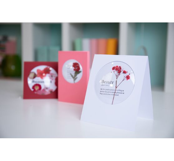 Sizzix Shaker Domes "Rund"