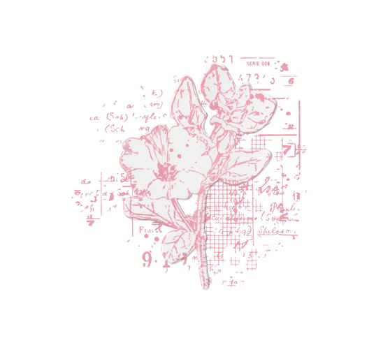 Sizzix Framelits Punching template and Clear Stamps "Floral Mix Cluster"