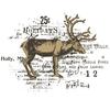 Sizzix Stanzschablone und Clear Stamps "Reindeer Mix Cluster by 49 and Market"