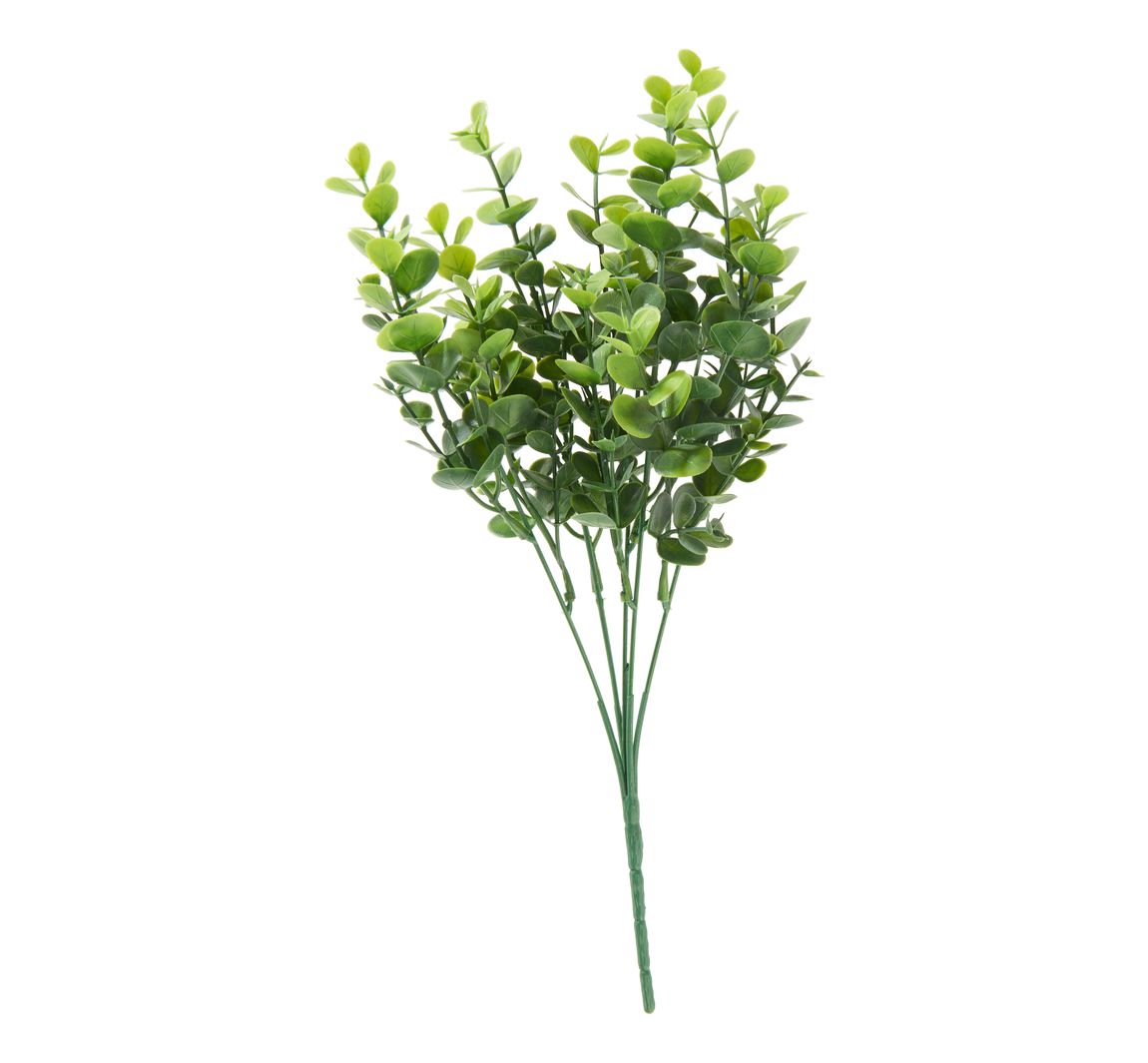 Eukalyptus Pick "Mia"