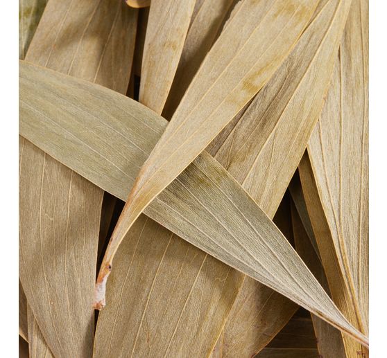 Eukalyptus Blätter, 100 g