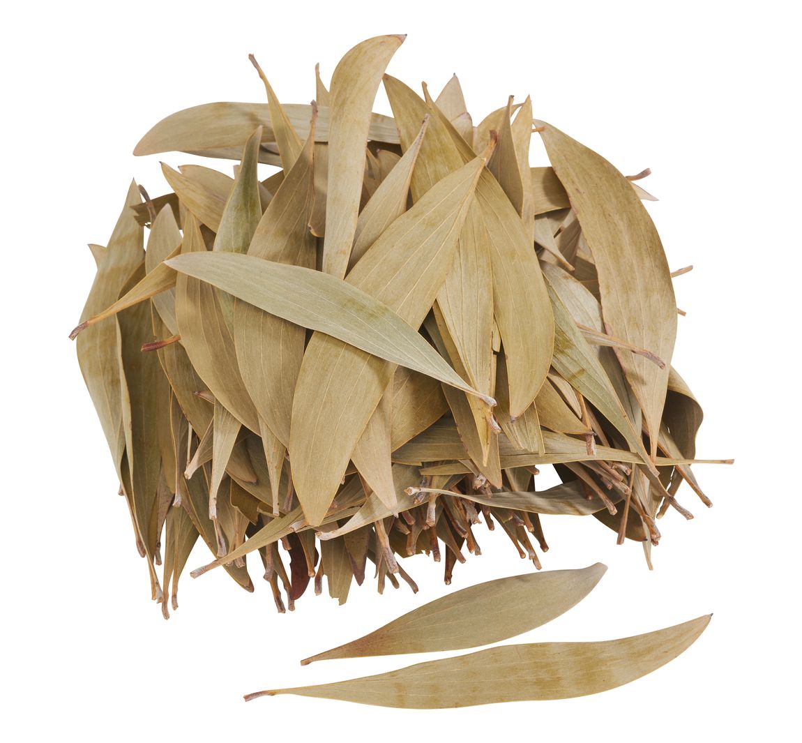 Eukalyptus Blätter, 100 g
