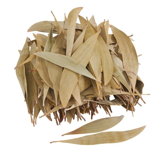 Eukalyptus Blätter, 100 g