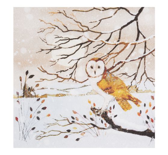 VBS Servietten-Set "Wintertime"