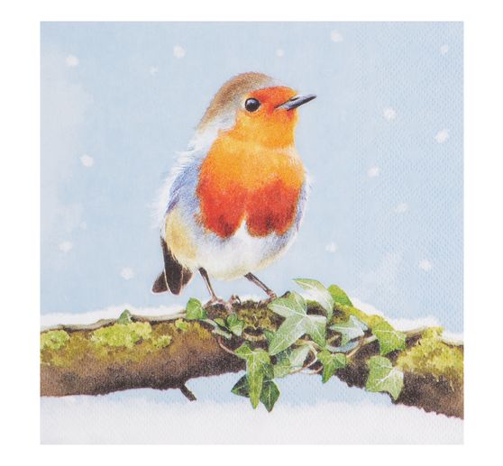 VBS Servietten-Set "Wintertime"