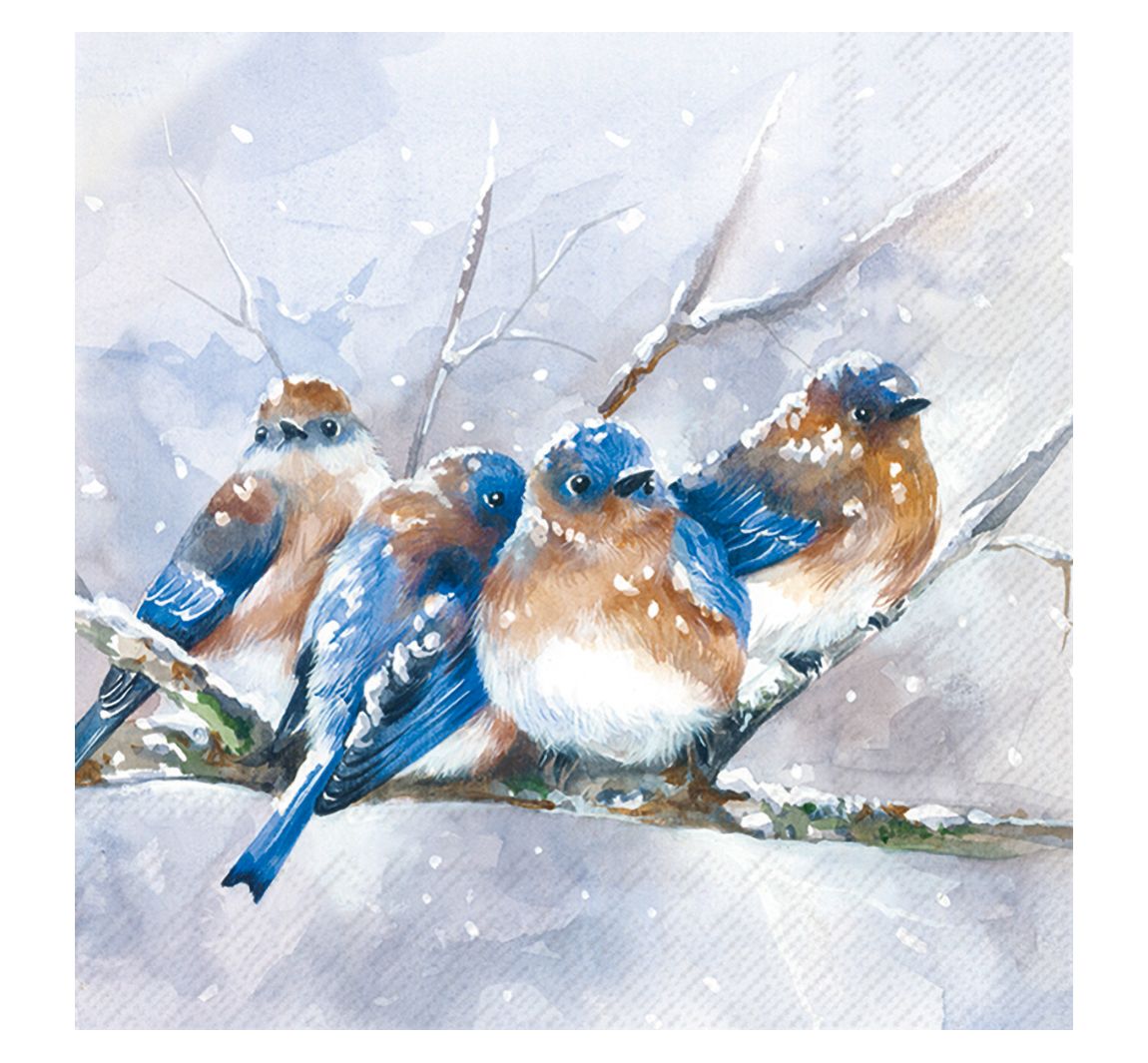Serviette "Cuddly Birdies"