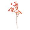Berry pick, Orange