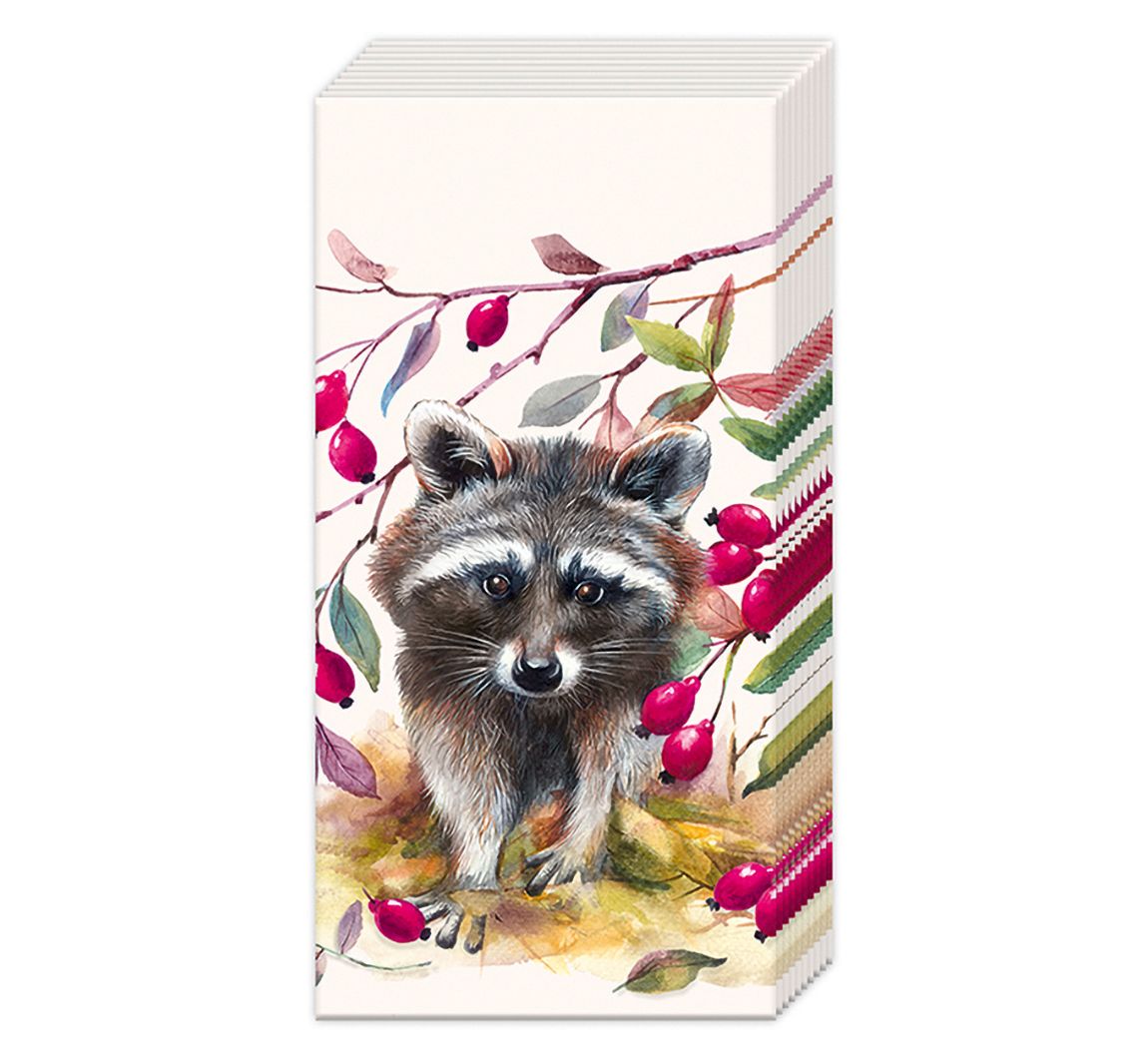Papiertaschentücher "Waschbär"
