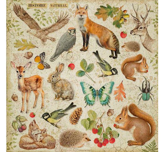 Maxi Scrapbook block "Forest"