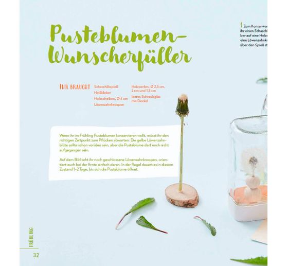 Buch "Das große Familien-Natur-Bastelbuch"