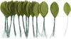 VBS Fabric leaves