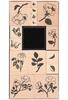 XL Stamp set "La Vie En Rose"