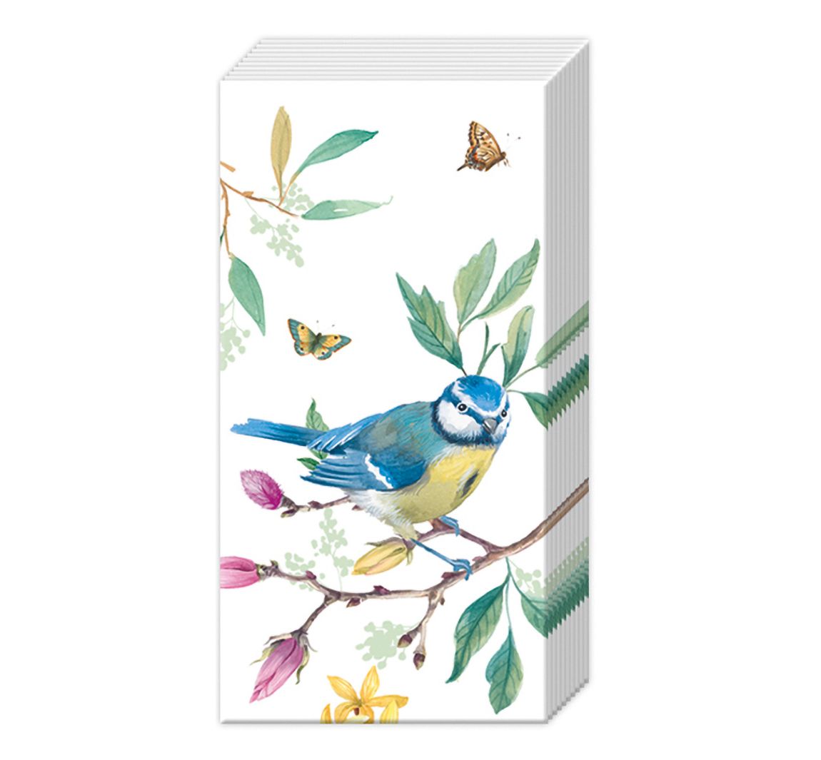 Papiertaschentücher "Bird Story"