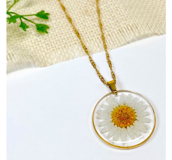 Trockenblumen Sortiment, 9 Tiegel