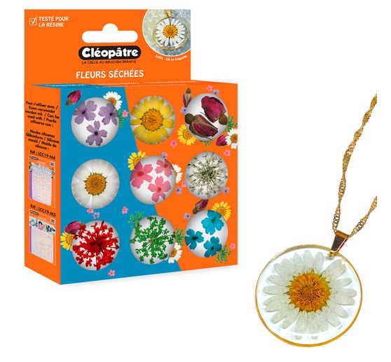 Trockenblumen Sortiment, 9 Tiegel